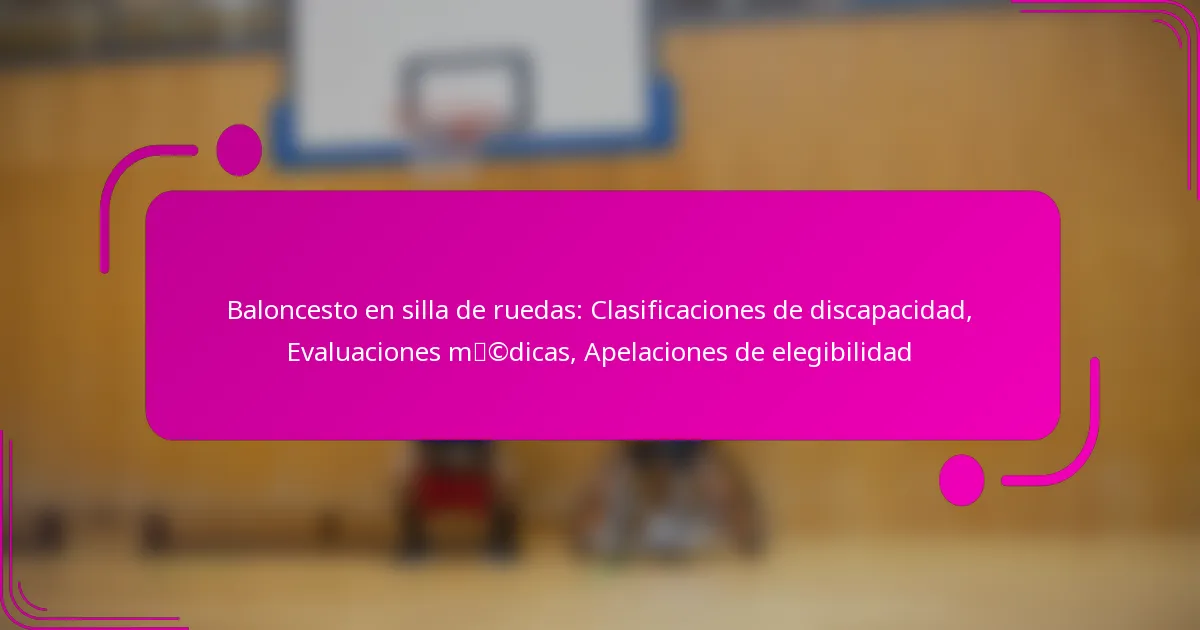 Baloncesto en silla de ruedas: Clasificaciones de discapacidad, Evaluaciones médicas, Apelaciones de elegibilidad