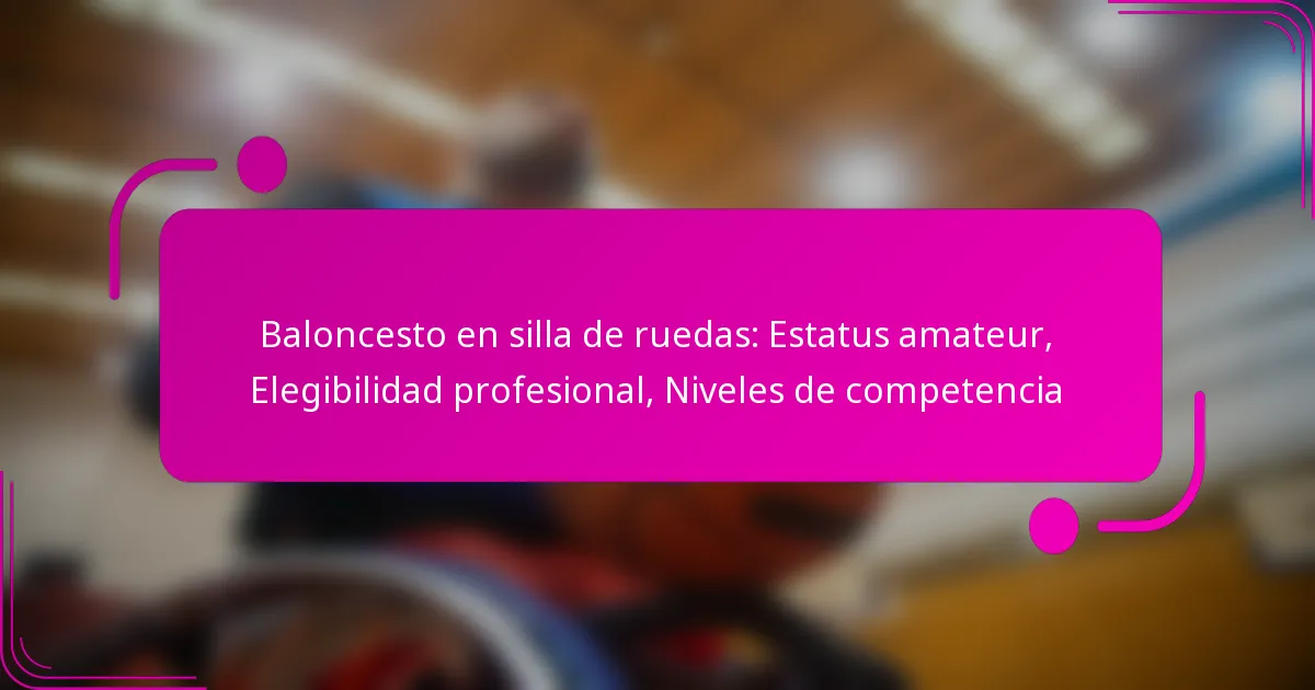 Baloncesto en silla de ruedas: Estatus amateur, Elegibilidad profesional, Niveles de competencia