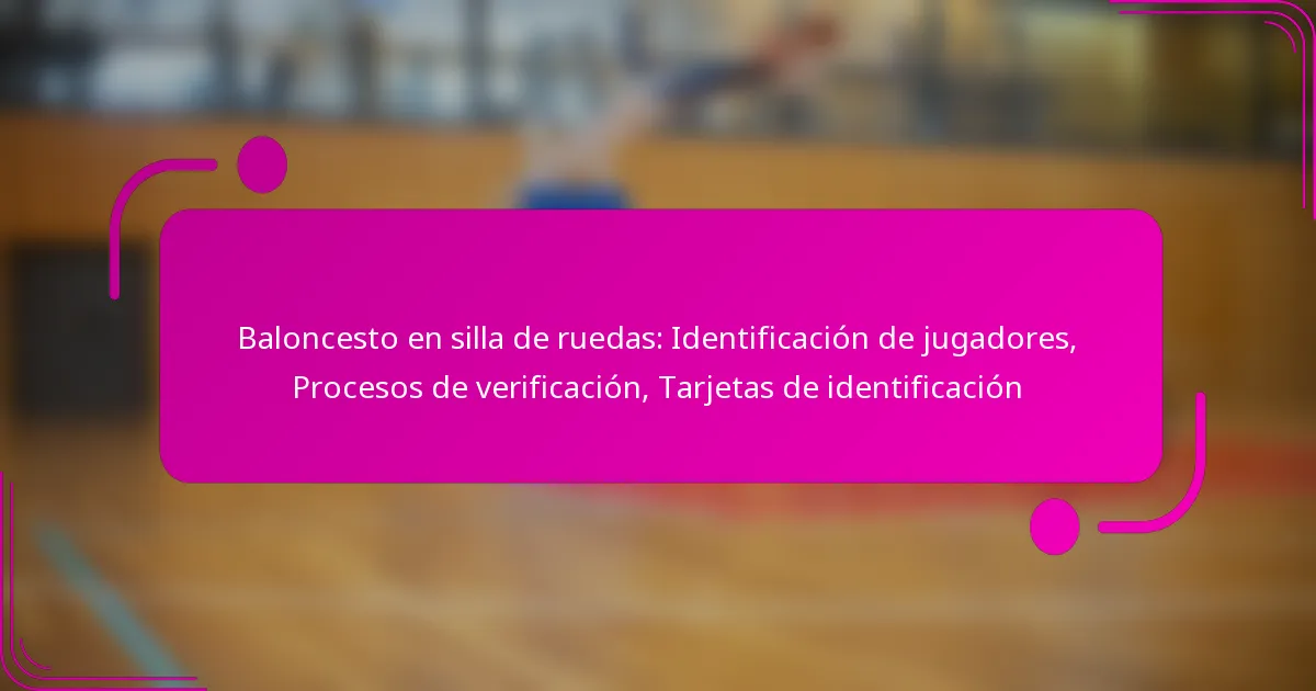 Baloncesto en silla de ruedas: Identificación de jugadores, Procesos de verificación, Tarjetas de identificación